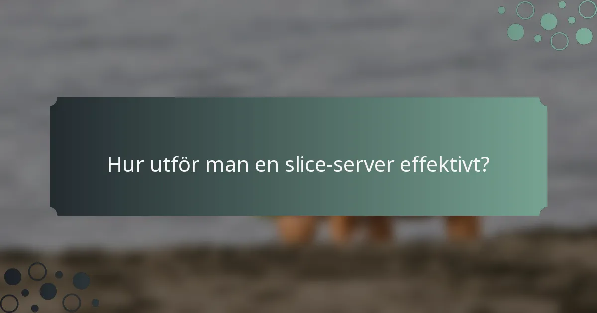 Hur utför man en slice-server effektivt?