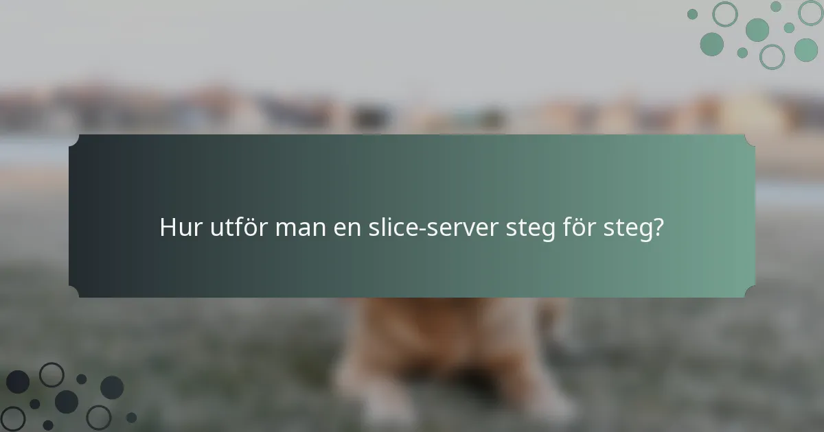 Hur utför man en slice-server steg för steg?