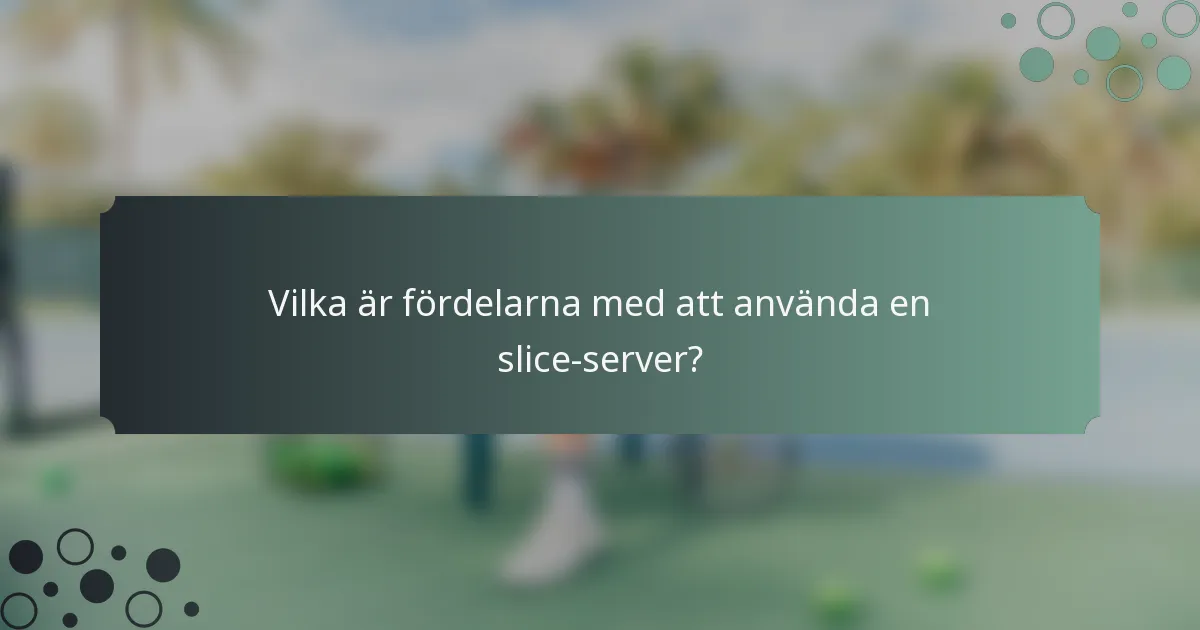 Vilka är fördelarna med att använda en slice-server?
