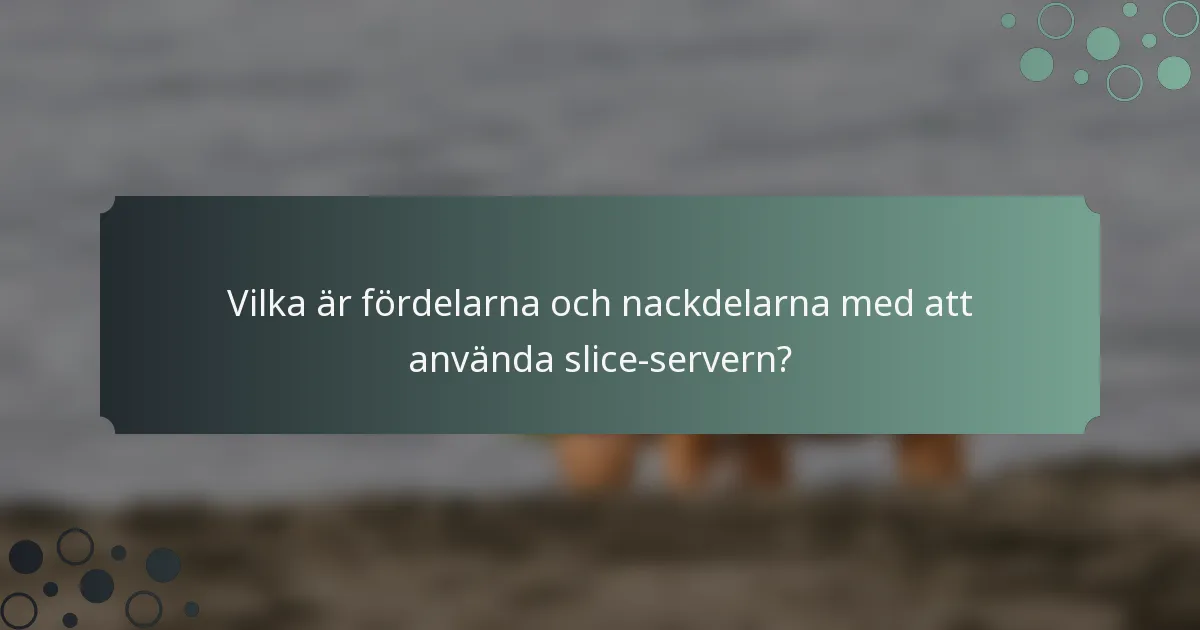 Vilka är fördelarna och nackdelarna med att använda slice-servern?