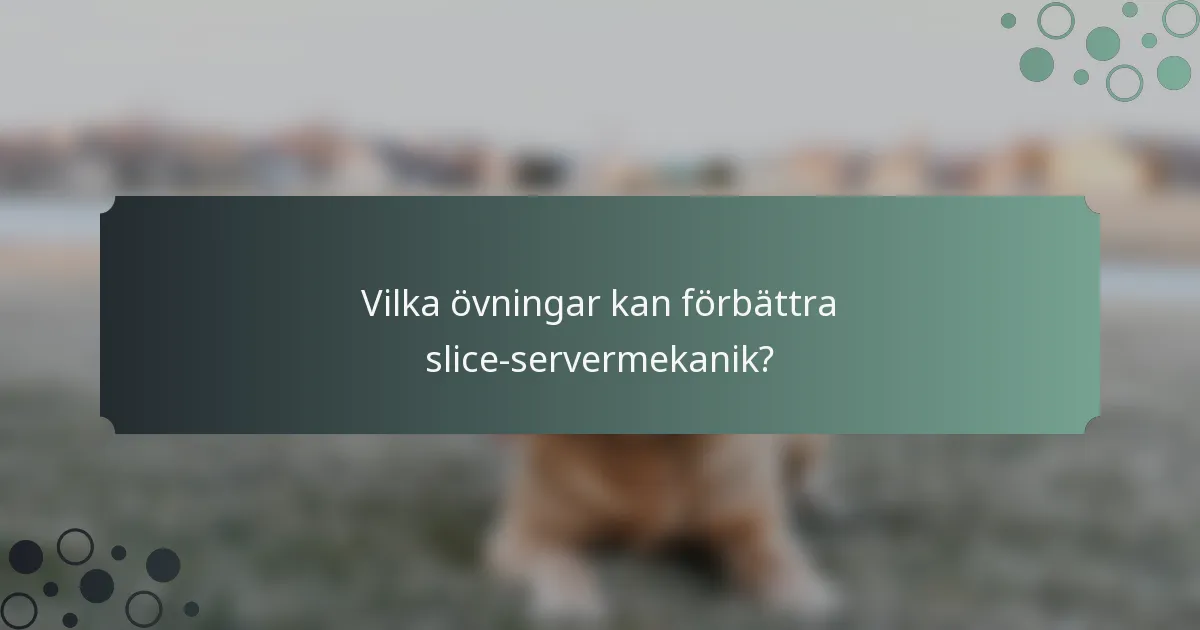 Vilka övningar kan förbättra slice-servermekanik?